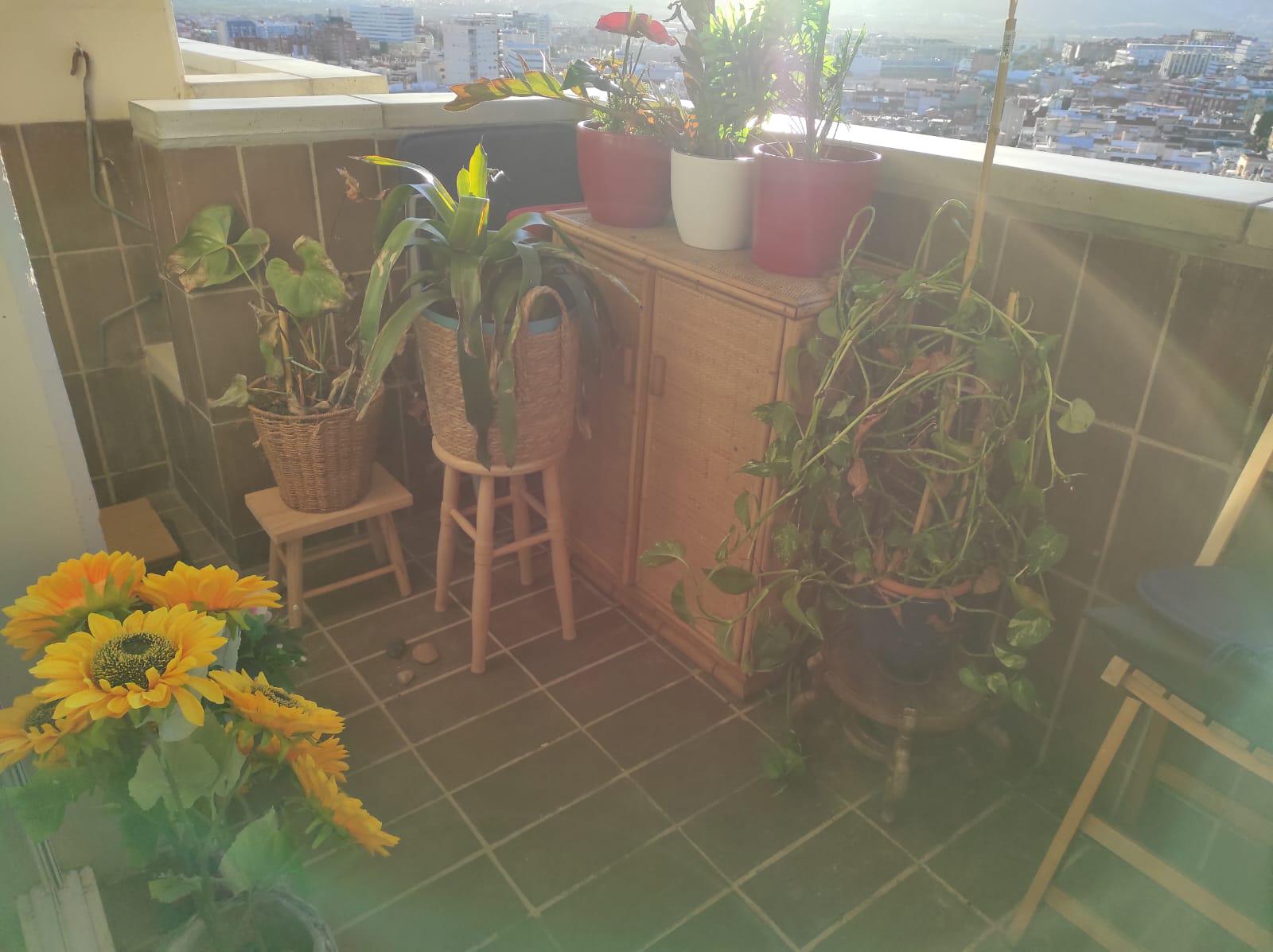 Imagen 22 Piso en venta en Esplugues De Llobregat / Pont D´Esplugues , parada trambaix