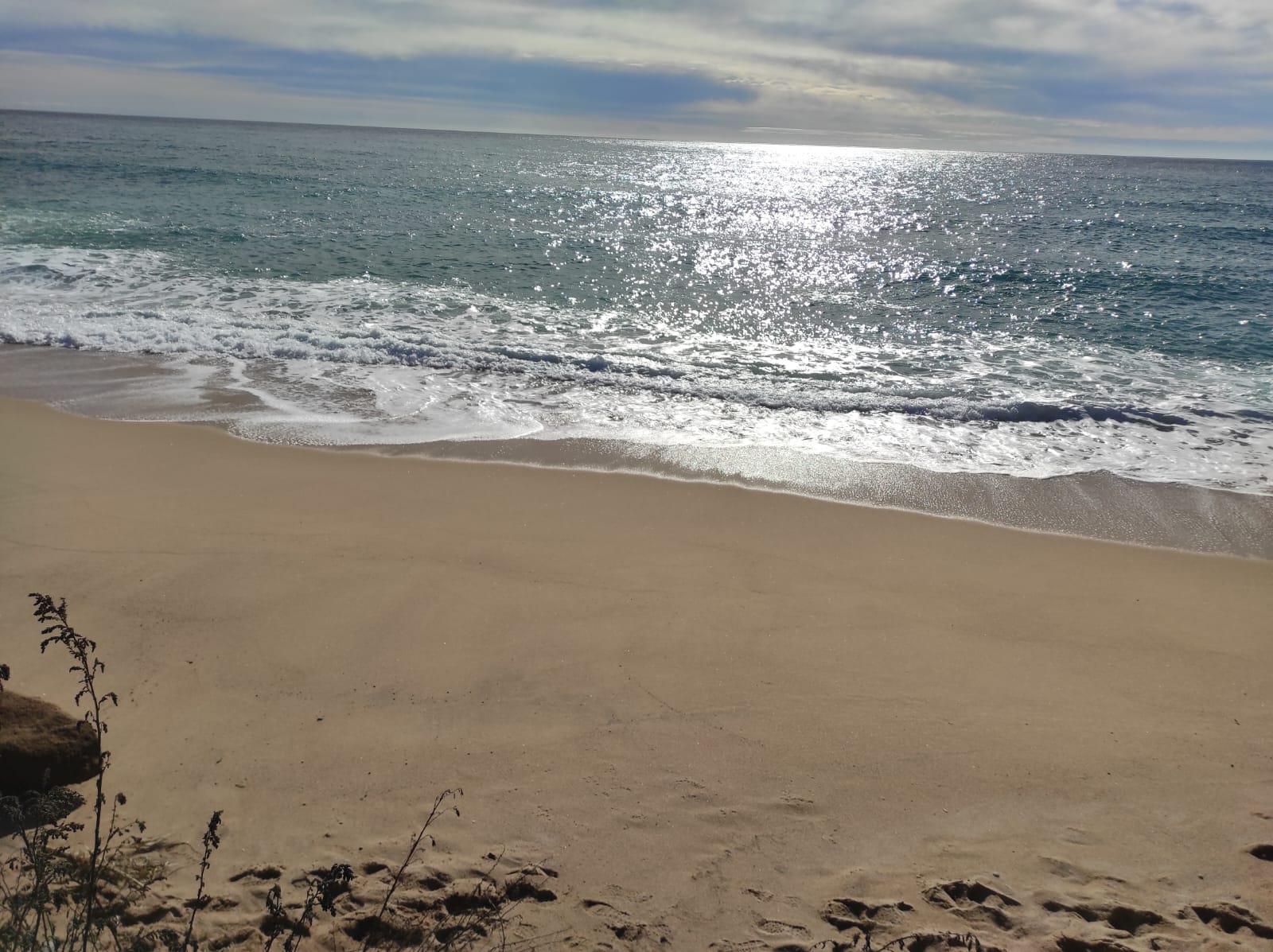 Imagen 12 Apartamento en venta en Tossa De Mar / Cala Llorell, cala Llevado, urb. Santa Maria De Llorell