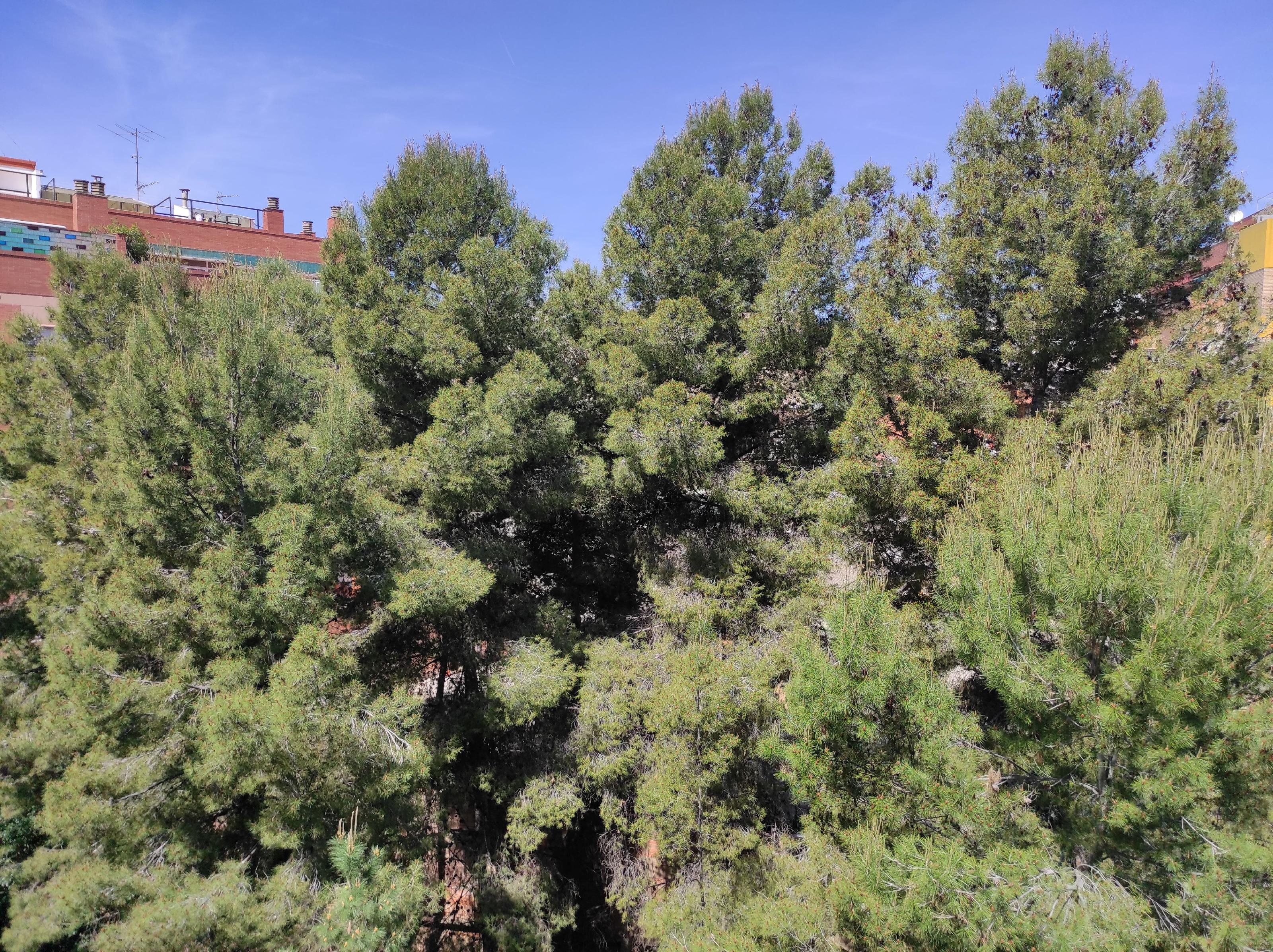 Imagen 4 Piso en venta en Esplugues De Llobregat / Junto plaça Catalunya y Duin Cem la Plana