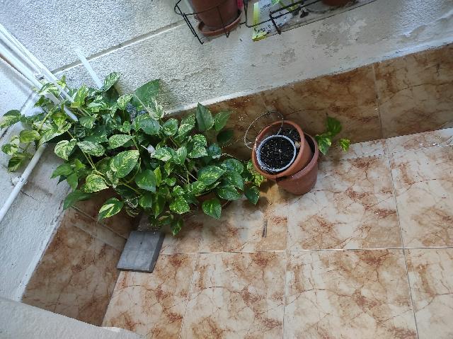 Imagen 4 Inmueble 306246 - Piso en venta en Hospitalet De Llobregat (L´) / Rafael De Campalans