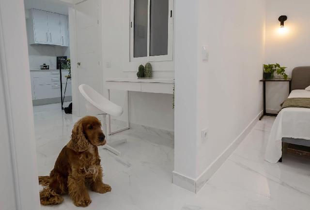 Imagen 29 Inmueble 263103 - Piso en venta en Barcelona / Junto Ronda Sant Antoni