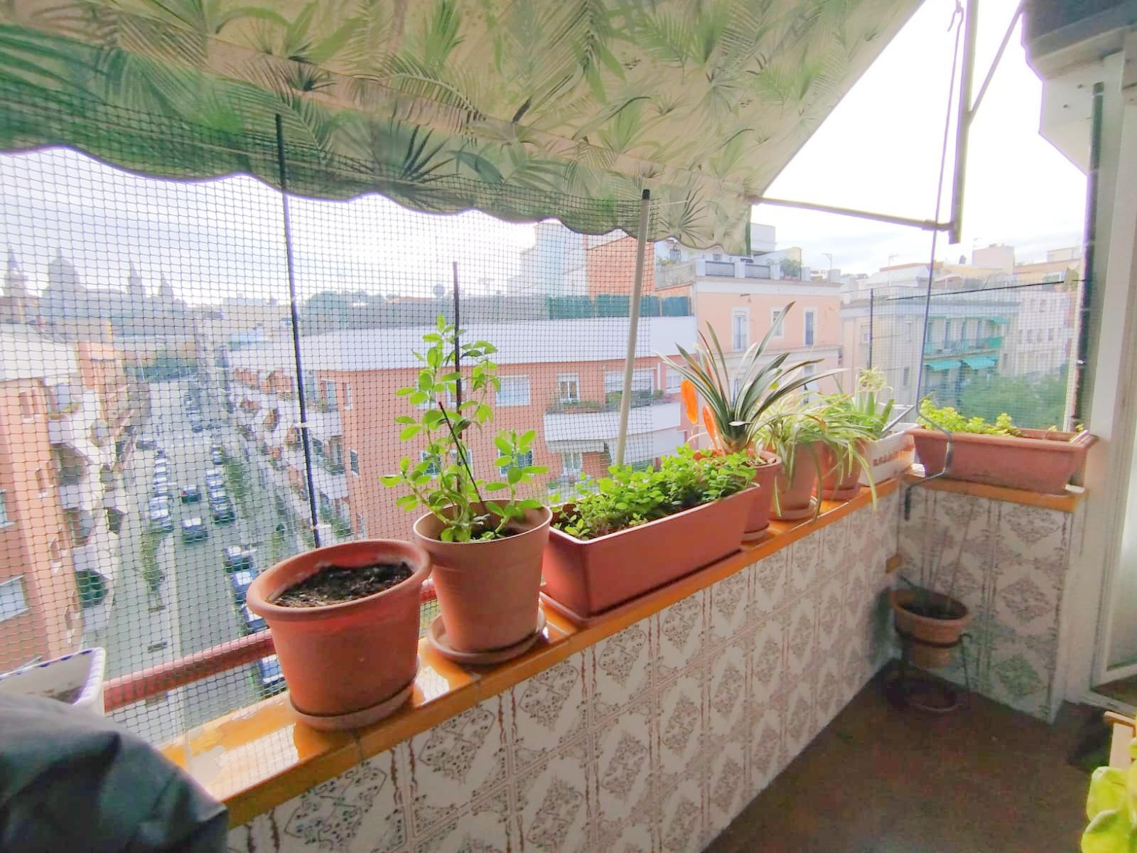 Imagen 10 Piso en venta en Barcelona / Junto Calle Mèxic - Plaça Espanya