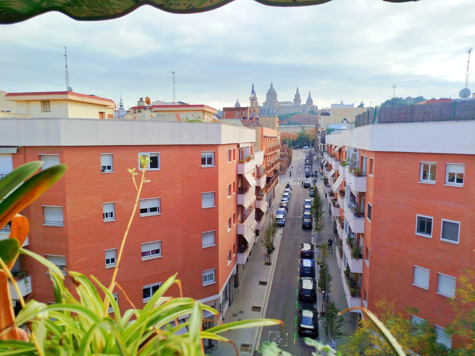 Imagen 7 Piso en venta en Barcelona / Junto Calle Mèxic - Plaça Espanya
