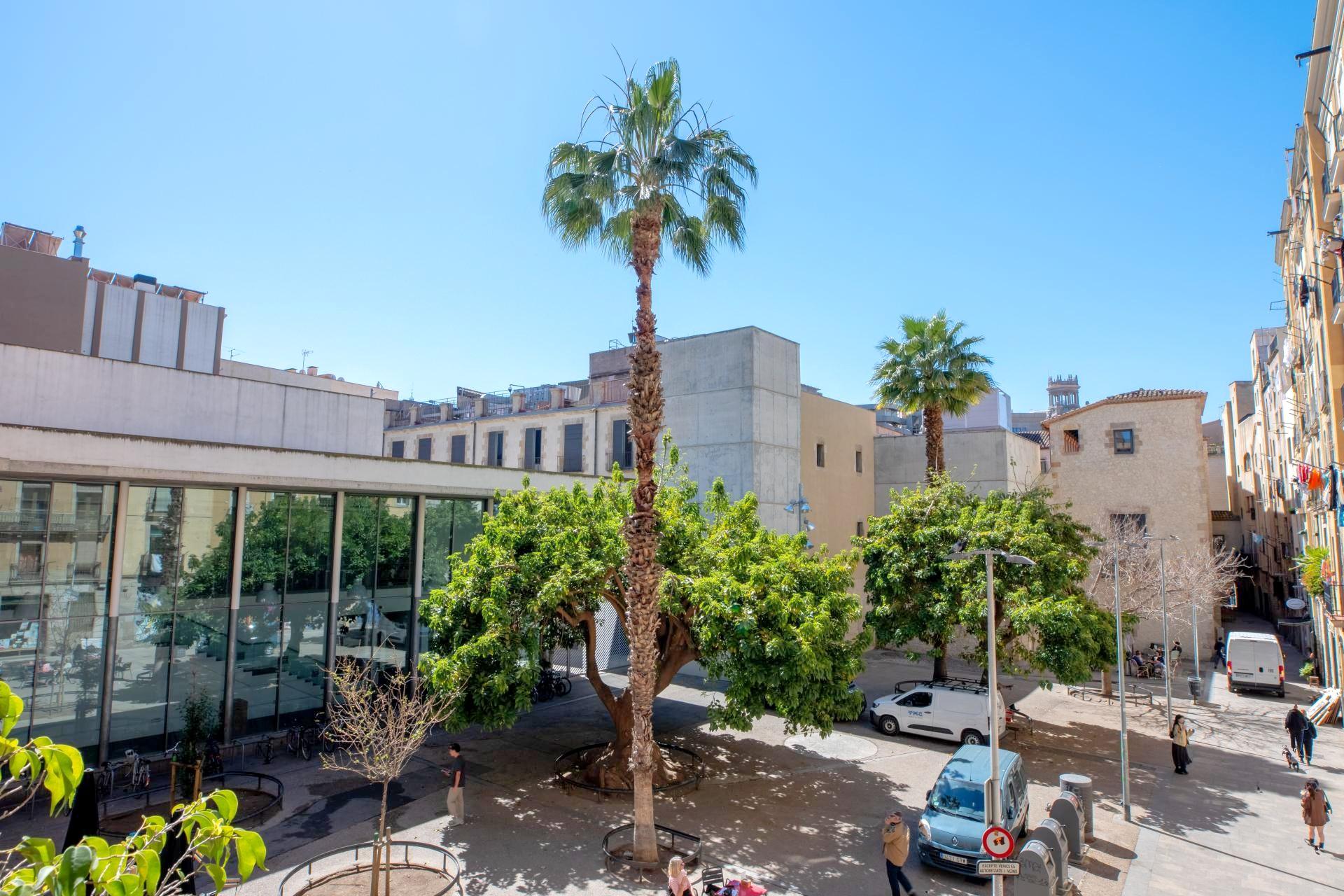 Imagen 4 Piso en venta en Barcelona / Plaça de Jaume Sabartés