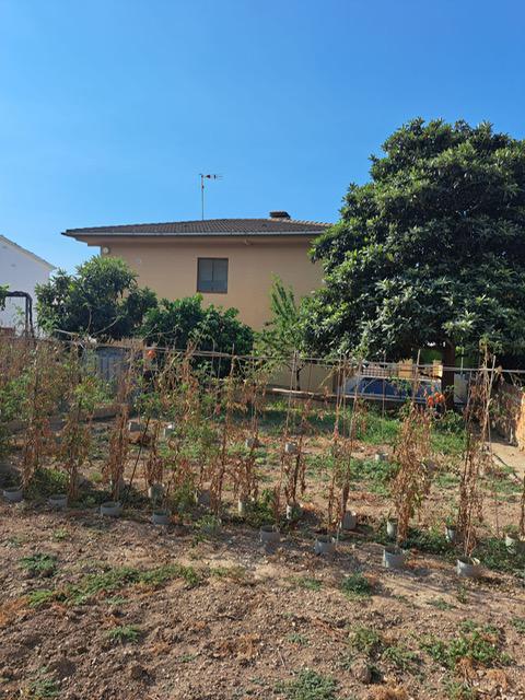 Imagen 15 Casa Aislada en venta en Sant Jaume Dels Domenys / Urbanización El Papagai, en Sant Jaume ...