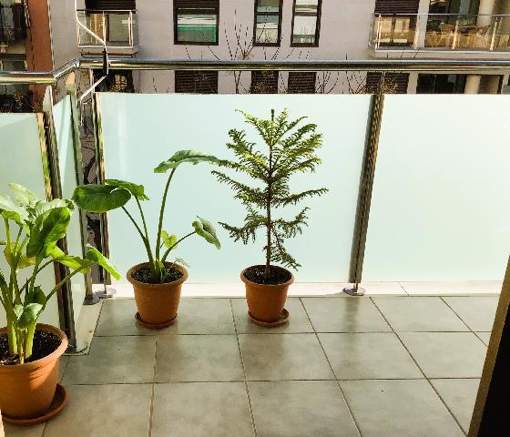 Imagen 2 Inmueble 297264 - Piso en venta en Mataró / Peramas, plaça Granollers