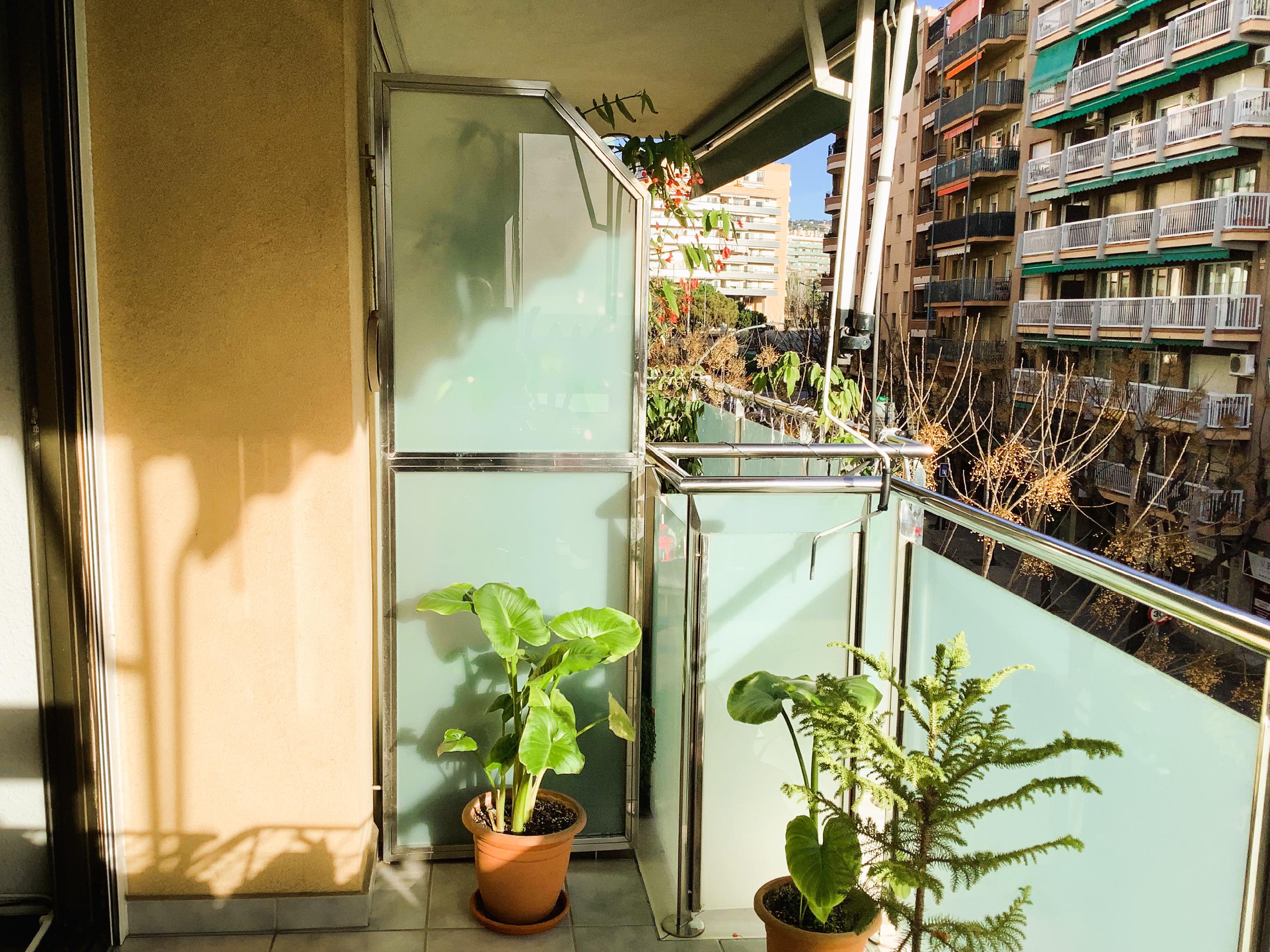 Imagen 5 Piso en venta en Mataró / Peramas, plaça Granollers