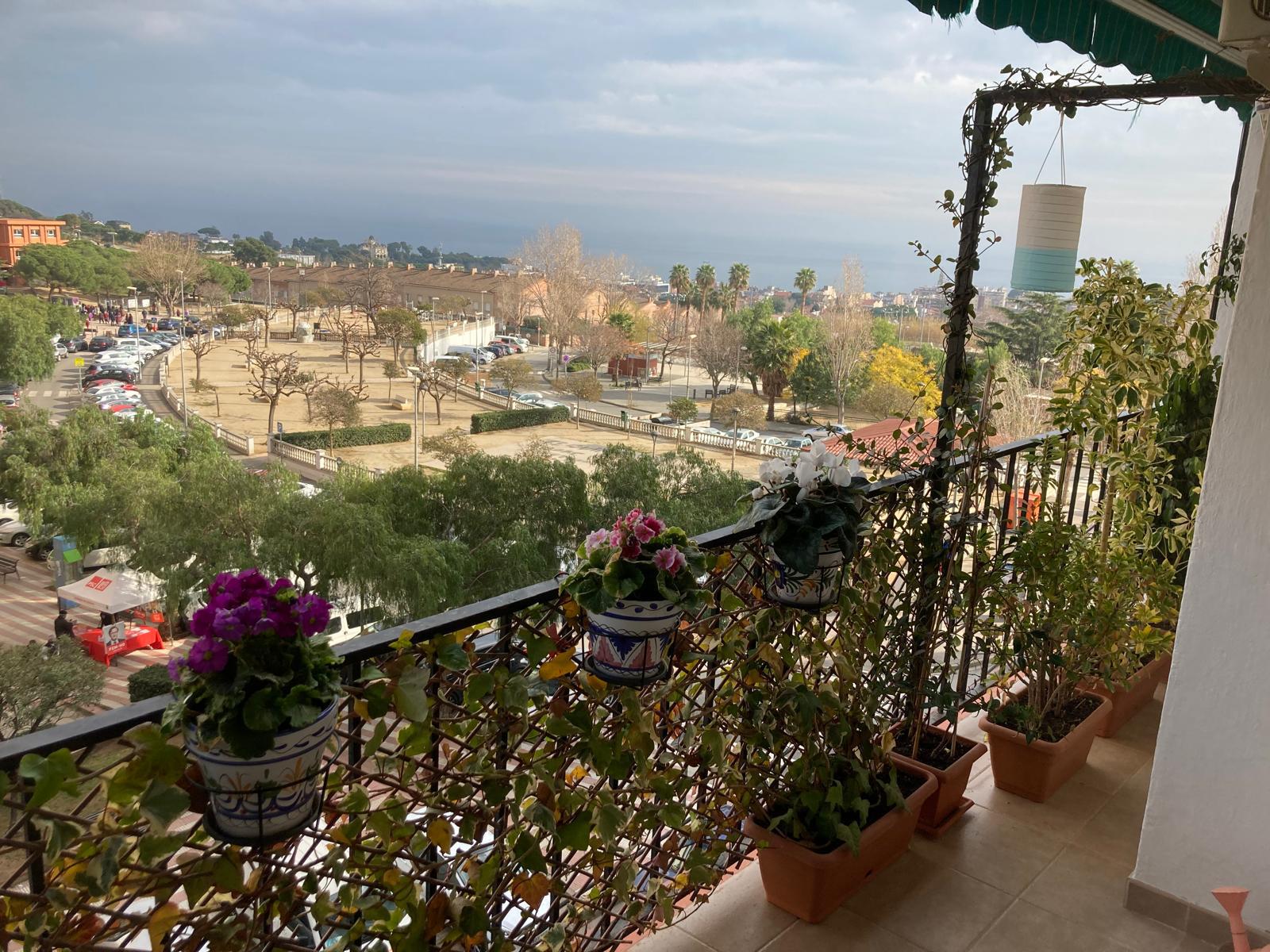 Imagen 2 Piso en alquiler en Masnou El / Cerca de la plaza Ramon y Cajal