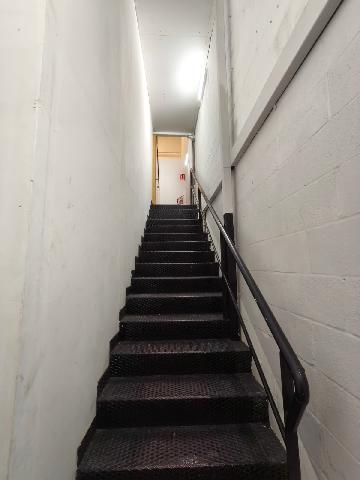 Imagen 9 Inmueble 299731 - Local Industrial en venta en Leioa / Avenida Amaia. Leioa.