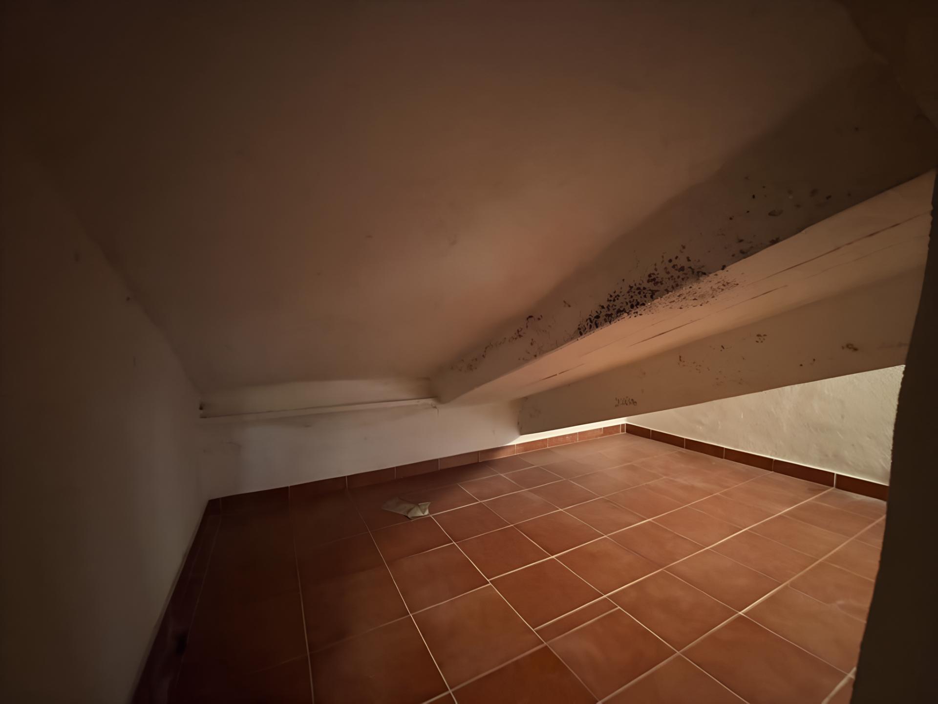 Imagen 5 Local Industrial en venta en Getxo / Urbanizacion Antiguo golf