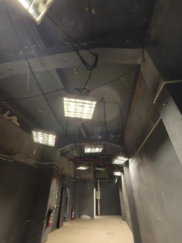 Imagen 5 Inmueble 301136 - Oficina Comercial en venta en Erandio / Avenida Ribera de Axpe. Erandio