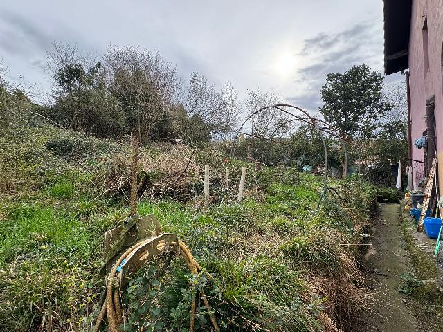 Imagen 13 Inmueble 298933 - Casa en venta en Astigarraga / Astigarraga, Gupuzkoa