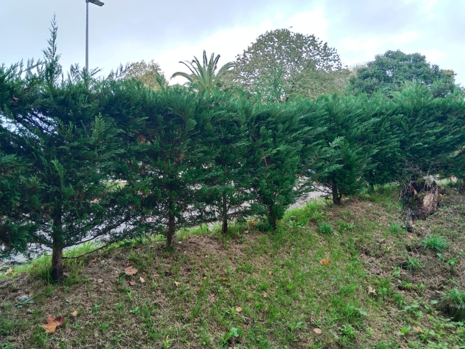 Imagen 18 Piso en venta en Donostia-San Sebastián / Paseo de Herrea, Alza