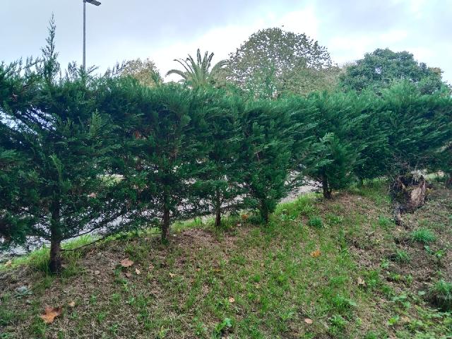 Imagen 18 Inmueble 306912 - Piso en venta en Donostia-San Sebastián / Paseo de Herrea, Alza