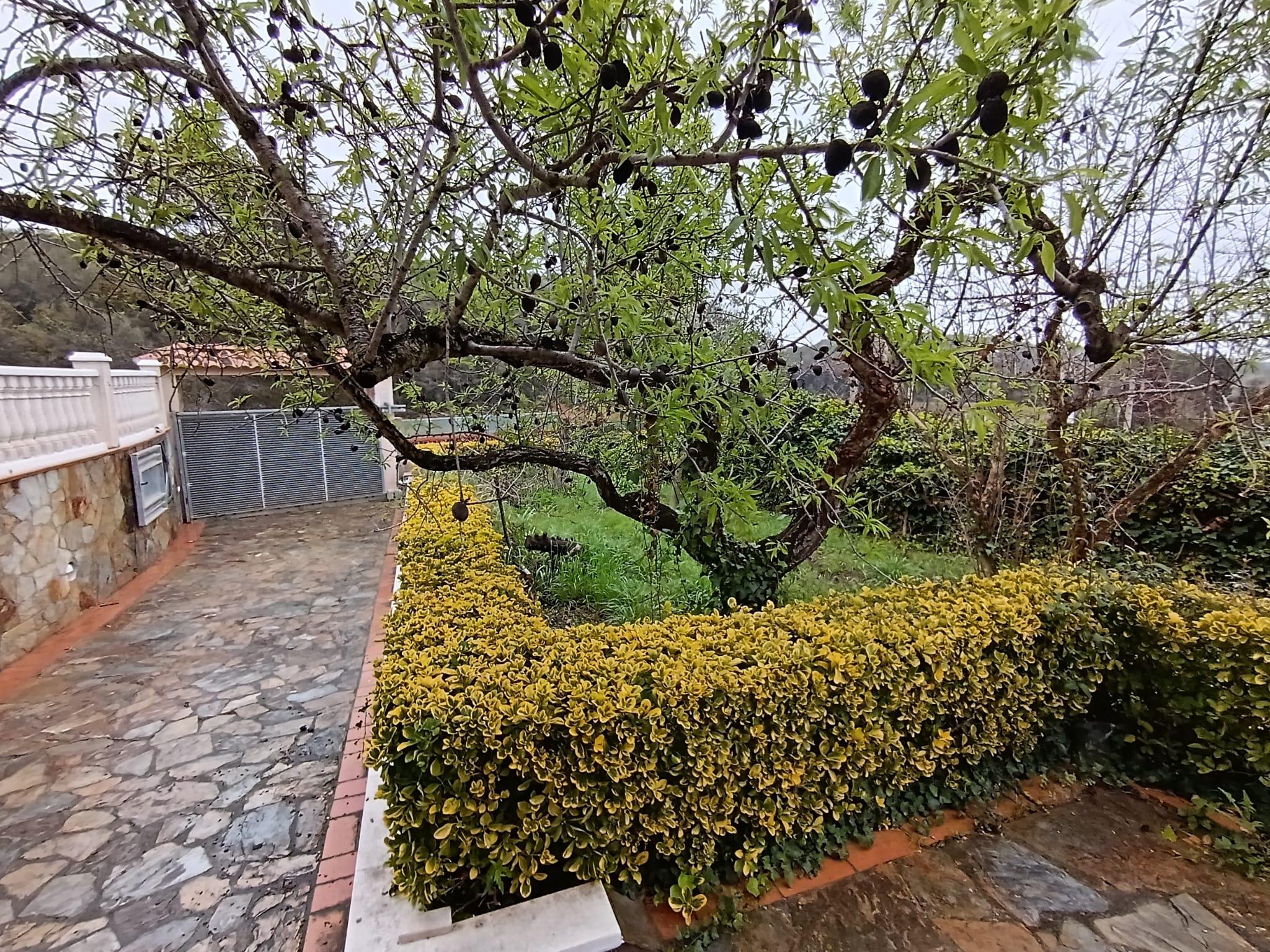 Imagen 42 Casa en venta en Olèrdola / A la entrada de la Urbanización Can Trabal