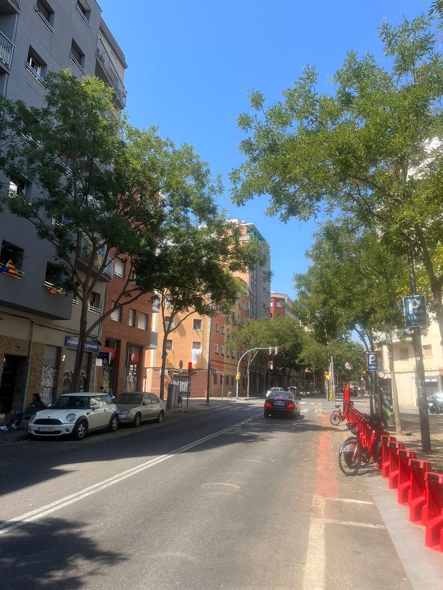 Imagen 26 Planta Baja en venta en Hospitalet De Llobregat L´ / A solo 5 minutos del metro Santa Eulalia