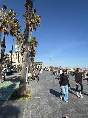 Imagen 11 Inmueble 300750 - Apto. Playa en venta en Barcelona / Junto a la playa de Barceloneta