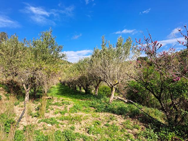 Imagen 26 Inmueble 301970 - Solar Rústico en venta en Olesa De Montserrat / Zona de la Creu de Beca