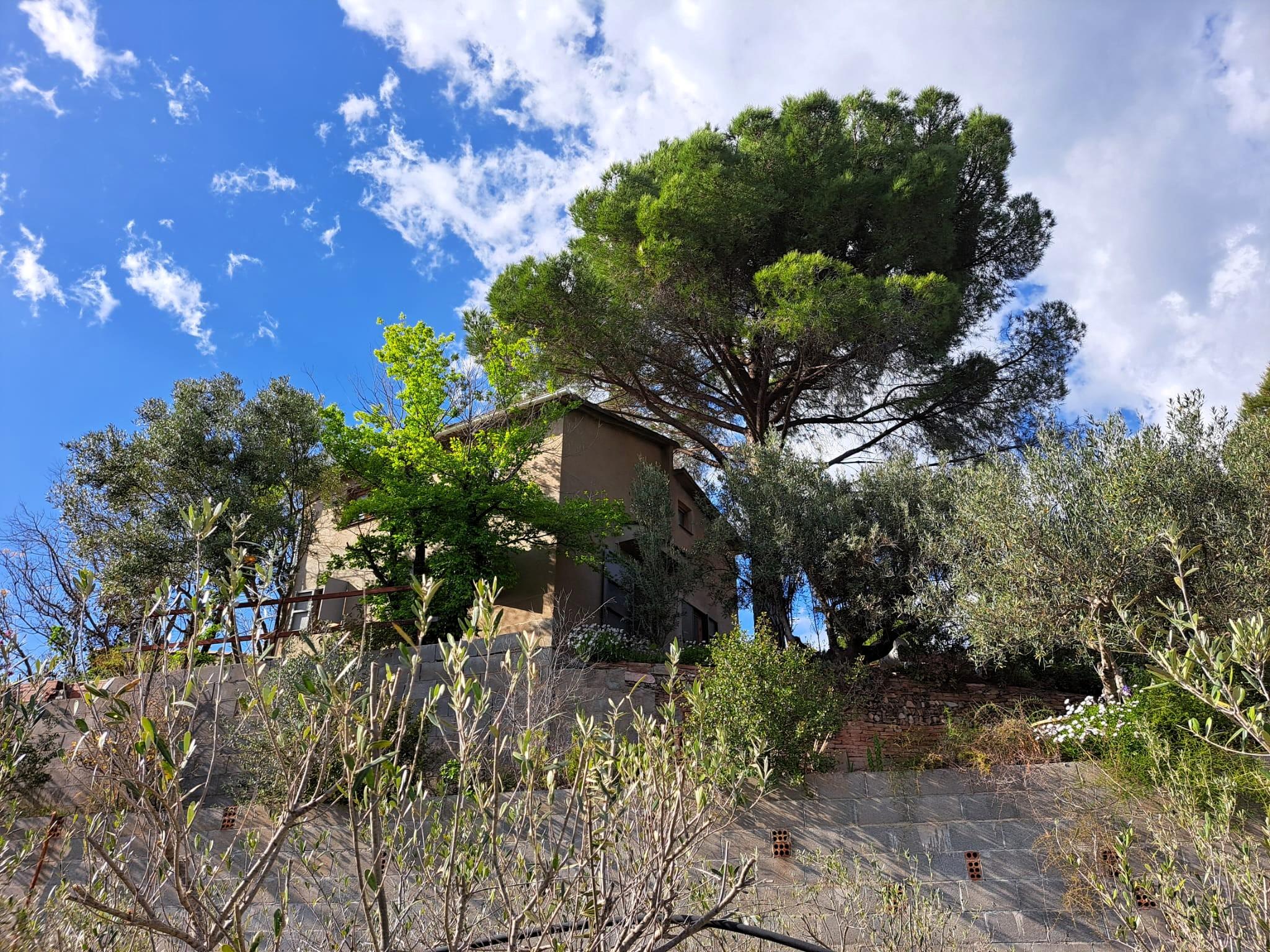 Imagen 6 Solar Rústico en venta en Olesa De Montserrat / Zona de la Creu de Beca