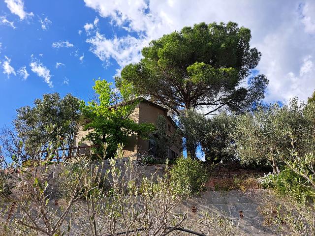Imagen 6 Inmueble 301970 - Solar Rústico en venta en Olesa De Montserrat / Zona de la Creu de Beca