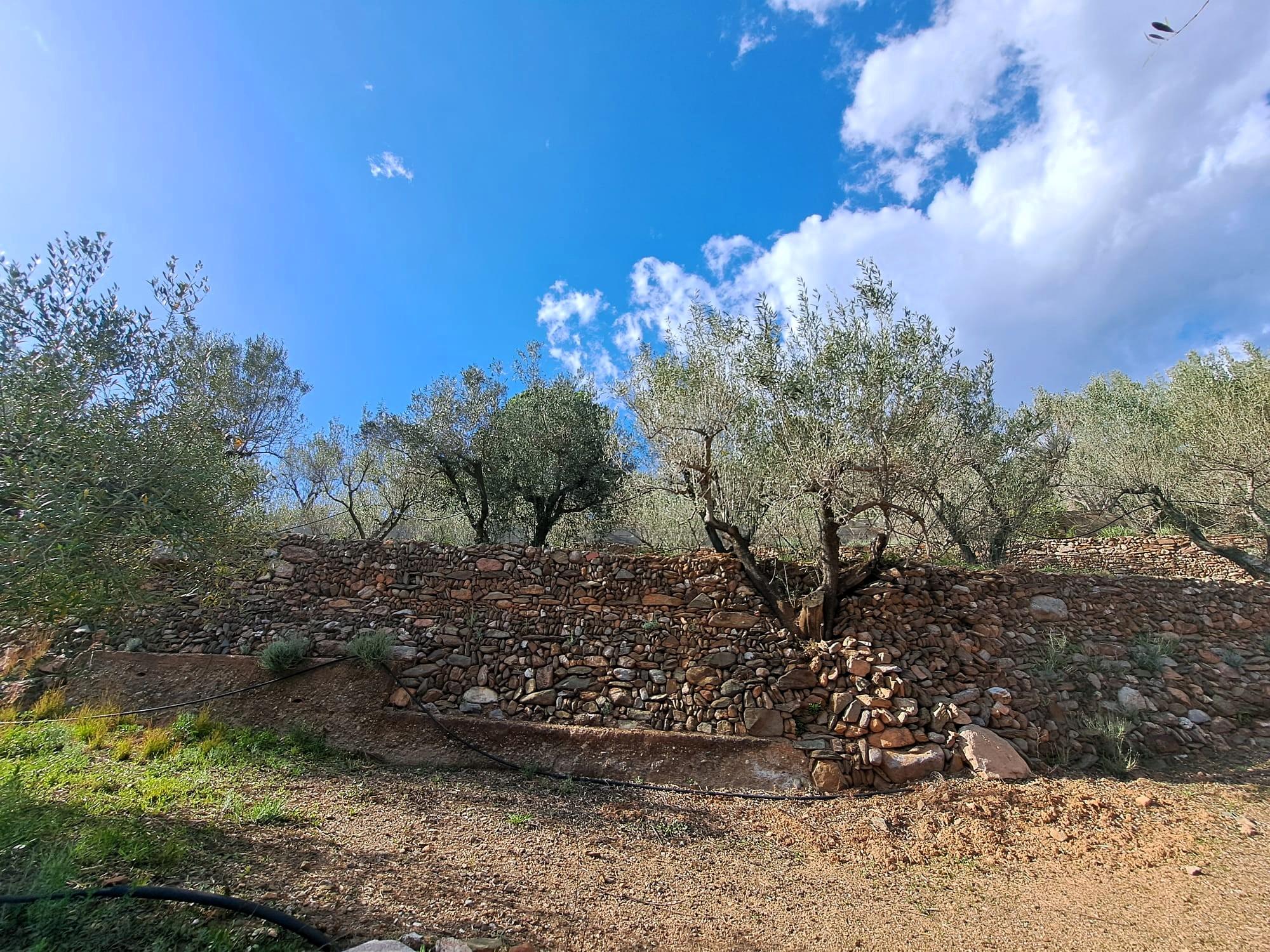Imagen 24 Solar Rústico en venta en Olesa De Montserrat / Zona de la Creu de Beca