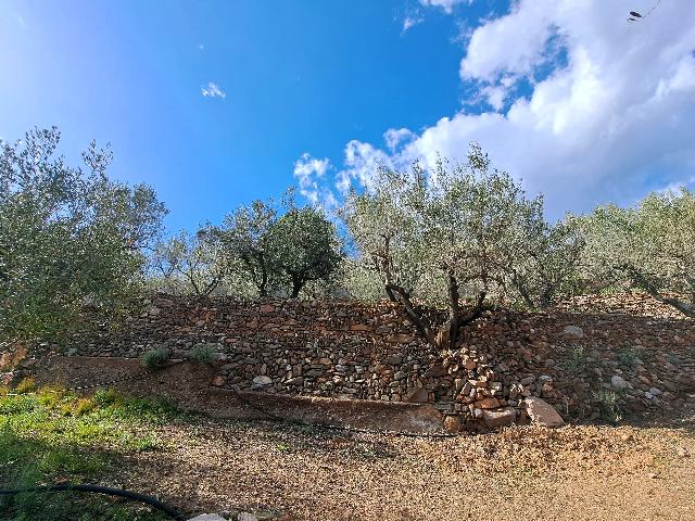 Imagen 24 Inmueble 301970 - Solar Rústico en venta en Olesa De Montserrat / Zona de la Creu de Beca