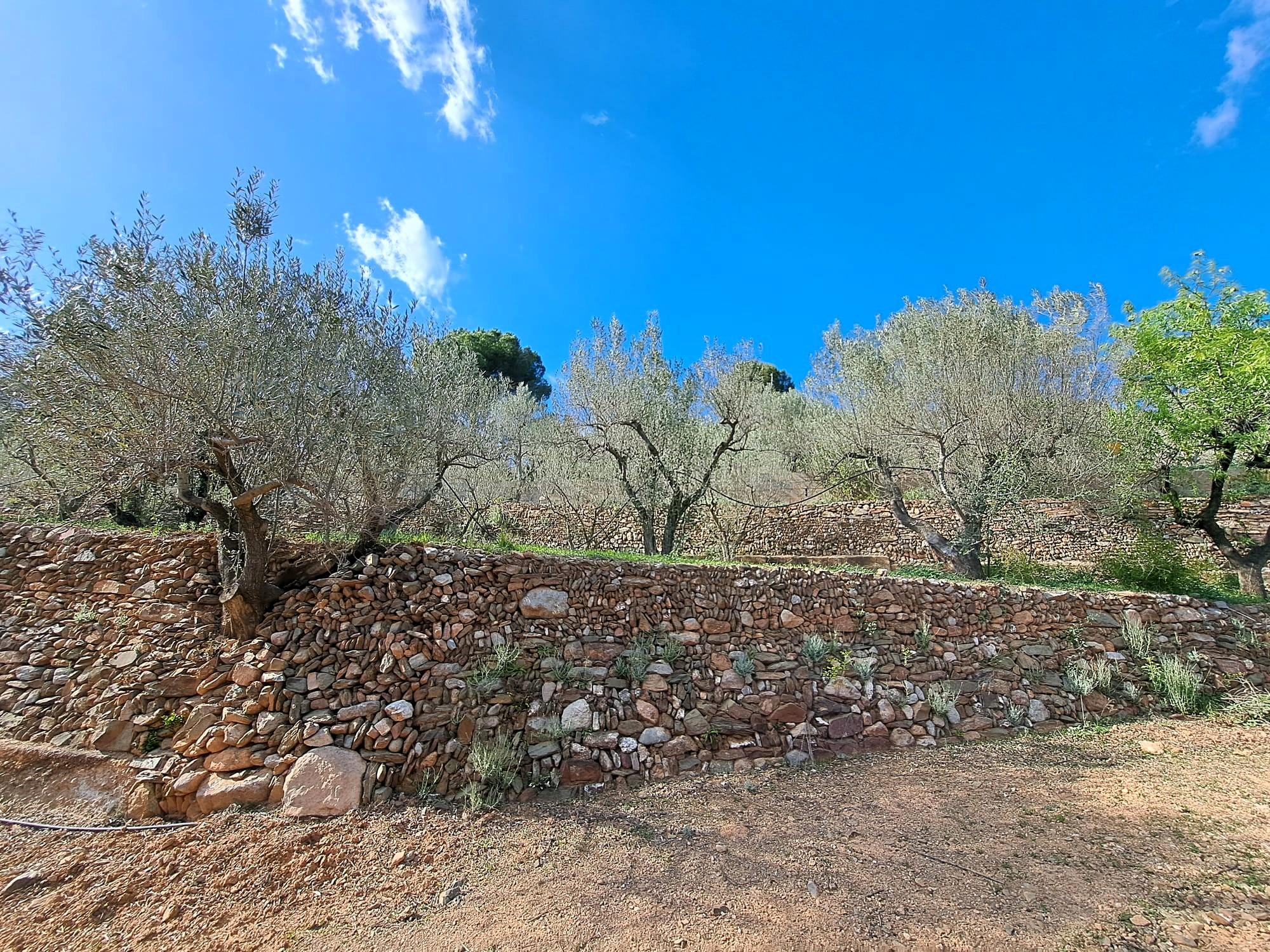 Imagen 20 Solar Rústico en venta en Olesa De Montserrat / Zona de la Creu de Beca