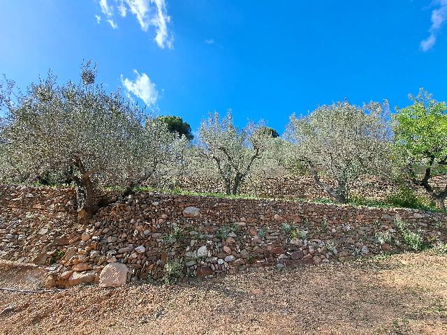 Imagen 20 Inmueble 301970 - Solar Rústico en venta en Olesa De Montserrat / Zona de la Creu de Beca