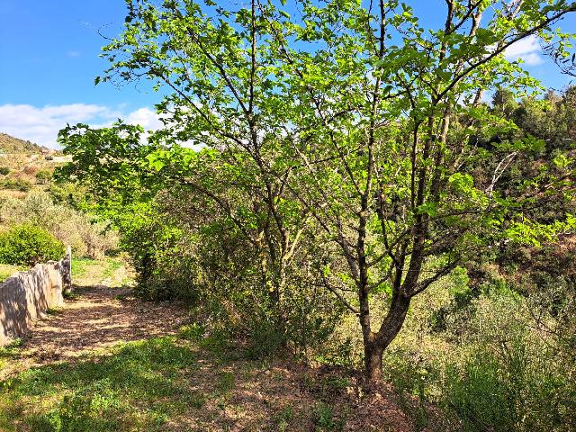 Imagen 28 Inmueble 301970 - Solar Rústico en venta en Olesa De Montserrat / Zona de la Creu de Beca