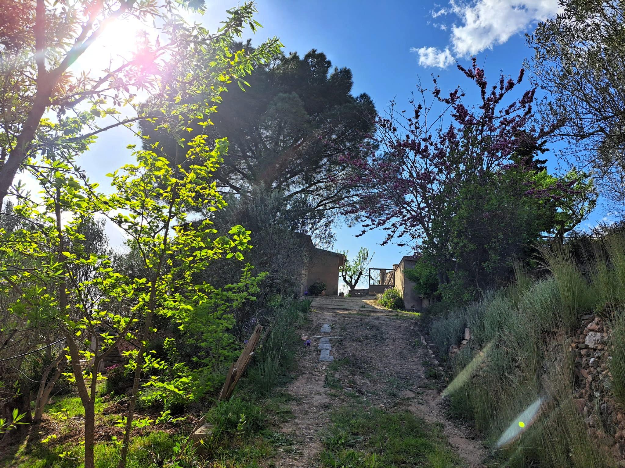 Imagen 4 Solar Rústico en venta en Olesa De Montserrat / Zona de la Creu de Beca