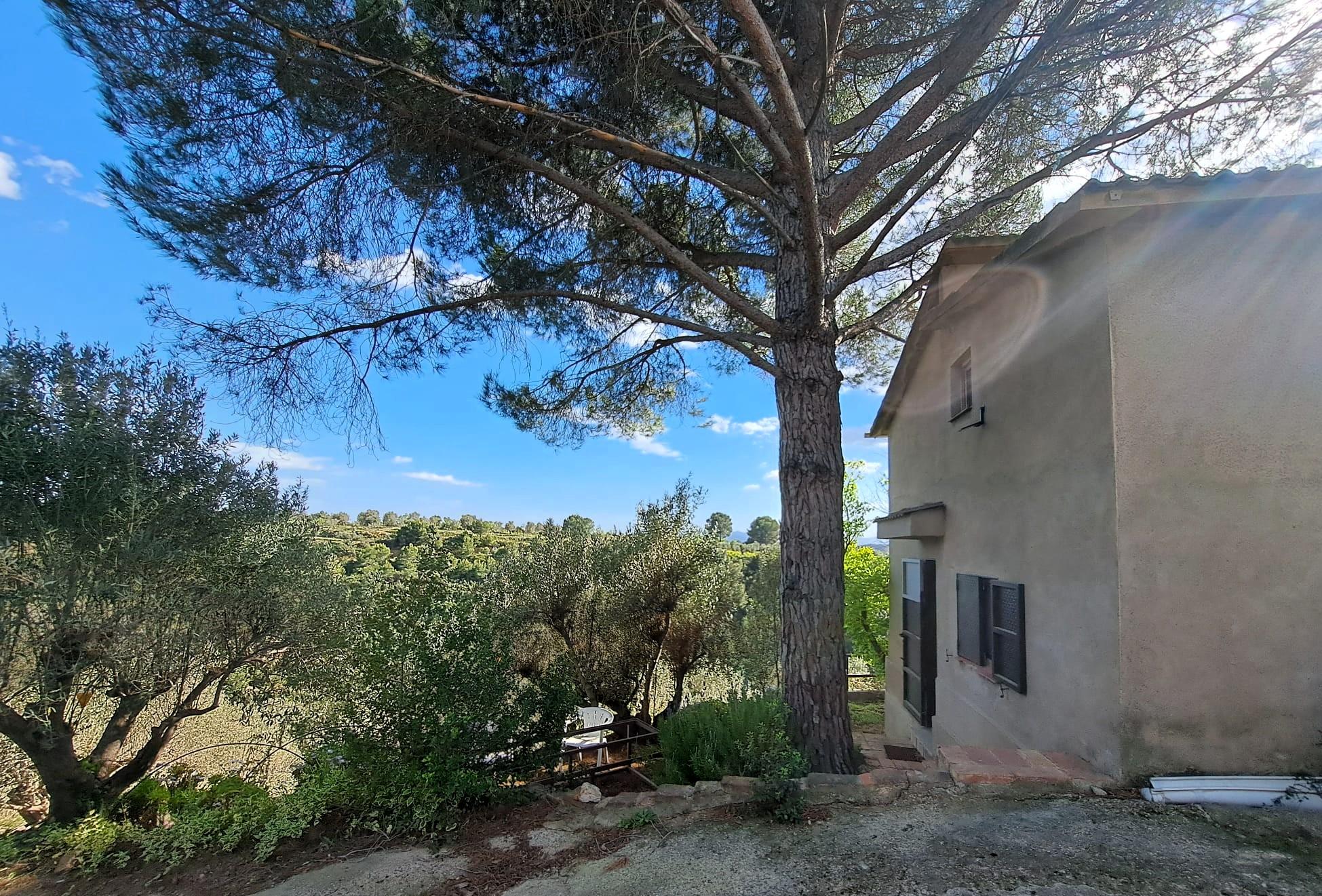 Imagen 3 Solar Rústico en venta en Olesa De Montserrat / Zona de la Creu de Beca