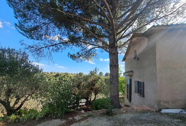 Imagen 3 Inmueble 301970 - Solar Rústico en venta en Olesa De Montserrat / Zona de la Creu de Beca