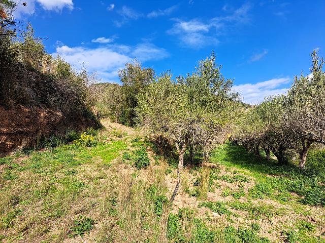 Imagen 25 Inmueble 301970 - Solar Rústico en venta en Olesa De Montserrat / Zona de la Creu de Beca