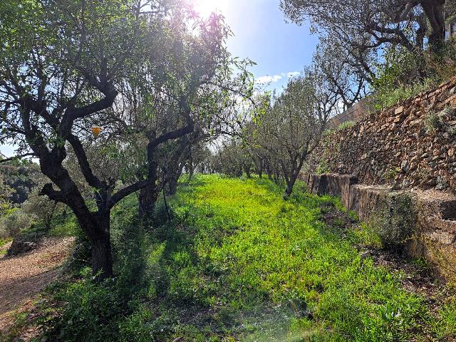 Imagen 27 Inmueble 301970 - Solar Rústico en venta en Olesa De Montserrat / Zona de la Creu de Beca