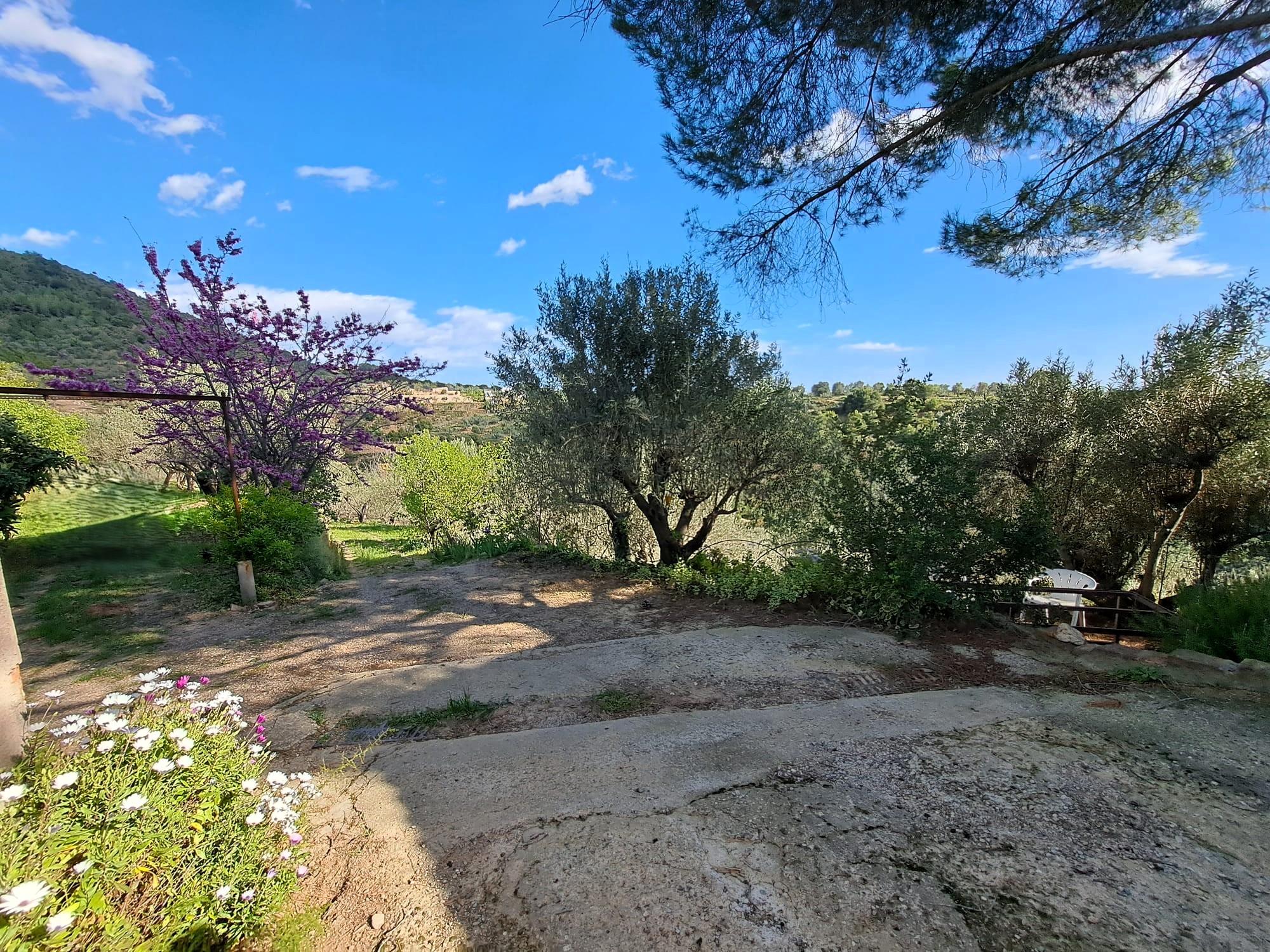 Imagen 5 Solar Rústico en venta en Olesa De Montserrat / Zona de la Creu de Beca