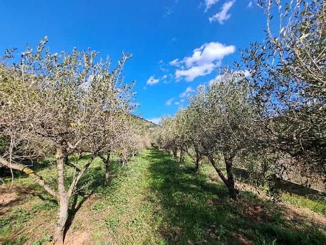 Imagen 23 Inmueble 301970 - Solar Rústico en venta en Olesa De Montserrat / Zona de la Creu de Beca