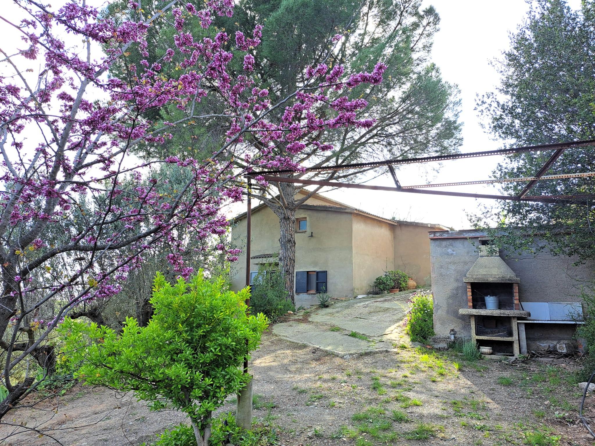 Imagen 2 Solar Rústico en venta en Olesa De Montserrat / Zona de la Creu de Beca