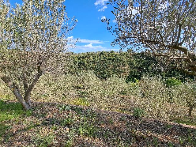 Imagen 18 Inmueble 301970 - Solar Rústico en venta en Olesa De Montserrat / Zona de la Creu de Beca