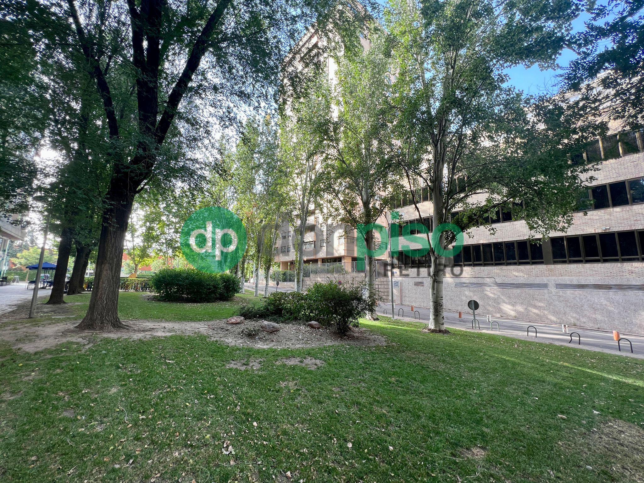 Imagen 2 Piso en alquiler en Madrid / En las inmediaciones de la Ciudad Universitaria