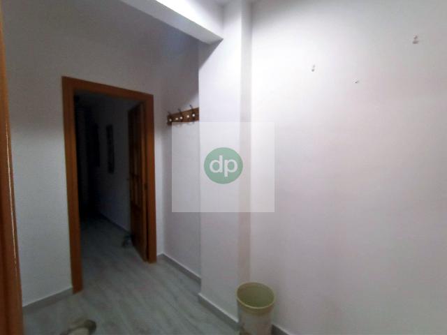 Imagen 5 Inmueble 286748 - Piso en alquiler en Badajoz / En la autopista, próximo a Institutos y Colegios.