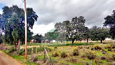 Imagen 7 Inmueble 300815 - Solar Rústico en venta en Badajoz / Carretera de Alburquerque - Ermita de Bótoa