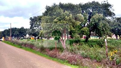 Imagen 9 Solar Rústico en venta en Badajoz / Carretera de Alburquerque - Ermita de Bótoa