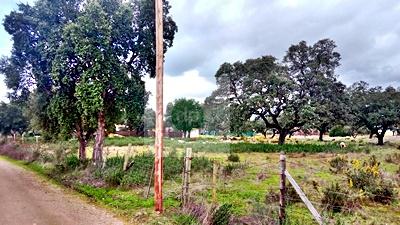 Imagen 10 Solar Rústico en venta en Badajoz / Carretera de Alburquerque - Ermita de Bótoa