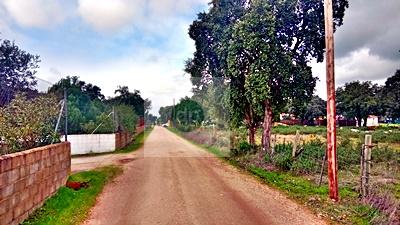 Imagen 13 Solar Rústico en venta en Badajoz / Carretera de Alburquerque - Ermita de Bótoa