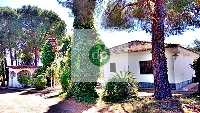 Imagen 4 Inmueble 303158 - Casa Aislada en venta en Badajoz / Crtra Corte de Peleas, San Isidro, Tres Arroyos.