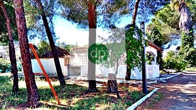 Imagen 2 Inmueble 303158 - Casa Aislada en venta en Badajoz / Crtra Corte de Peleas, San Isidro, Tres Arroyos.