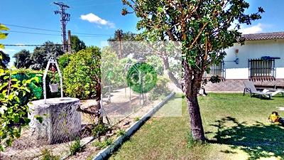 Imagen 19 Casa Aislada en venta en Badajoz / Crtra Corte de Peleas, San Isidro, Tres Arroyos.