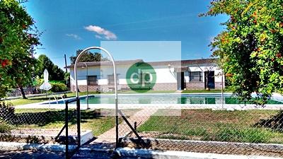 Imagen 28 Inmueble 303158 - Casa Aislada en venta en Badajoz / Crtra Corte de Peleas, San Isidro, Tres Arroyos.