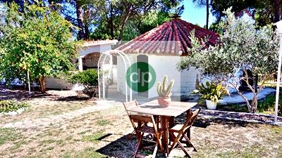 Imagen 29 Casa Aislada en venta en Badajoz / Crtra Corte de Peleas, San Isidro, Tres Arroyos.