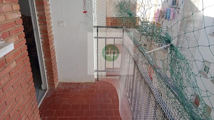 Imagen 13 Piso en venta en Badajoz / Santa Marina, junto a la Autopista.